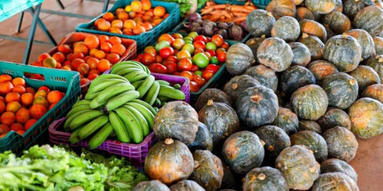 Divulgado resultado preliminar do PAA Goiás 2025