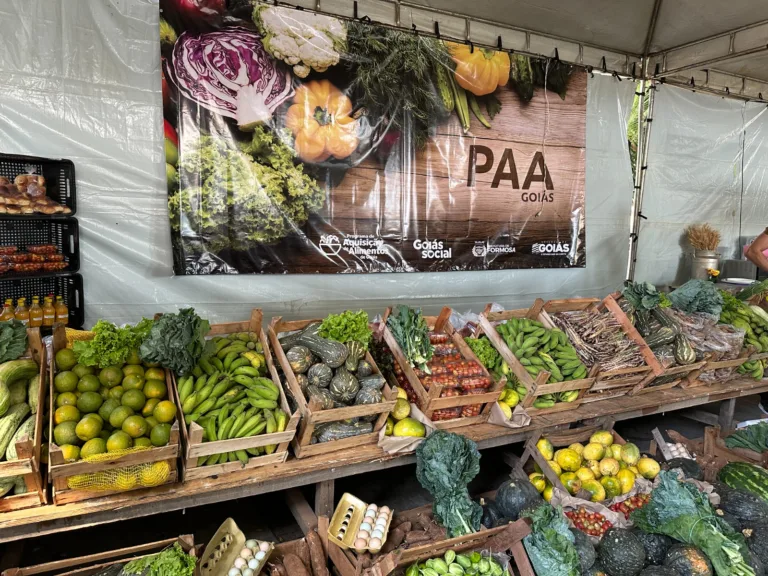 Entregas do PAA Quilombola começam em Flores de Goiás
