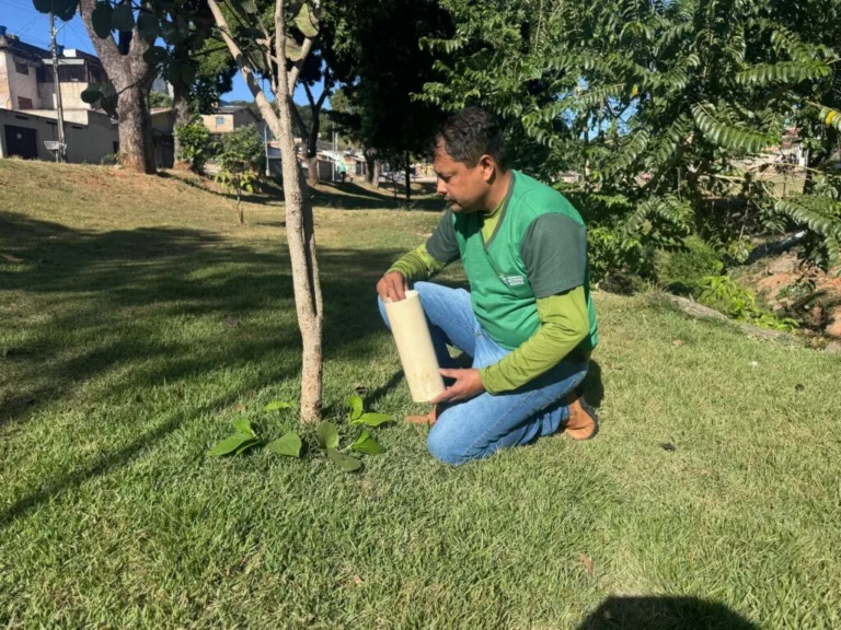 Prefeitura promove 3º Prêmio Goiânia Sustentável para valorizar projetos socioambientais