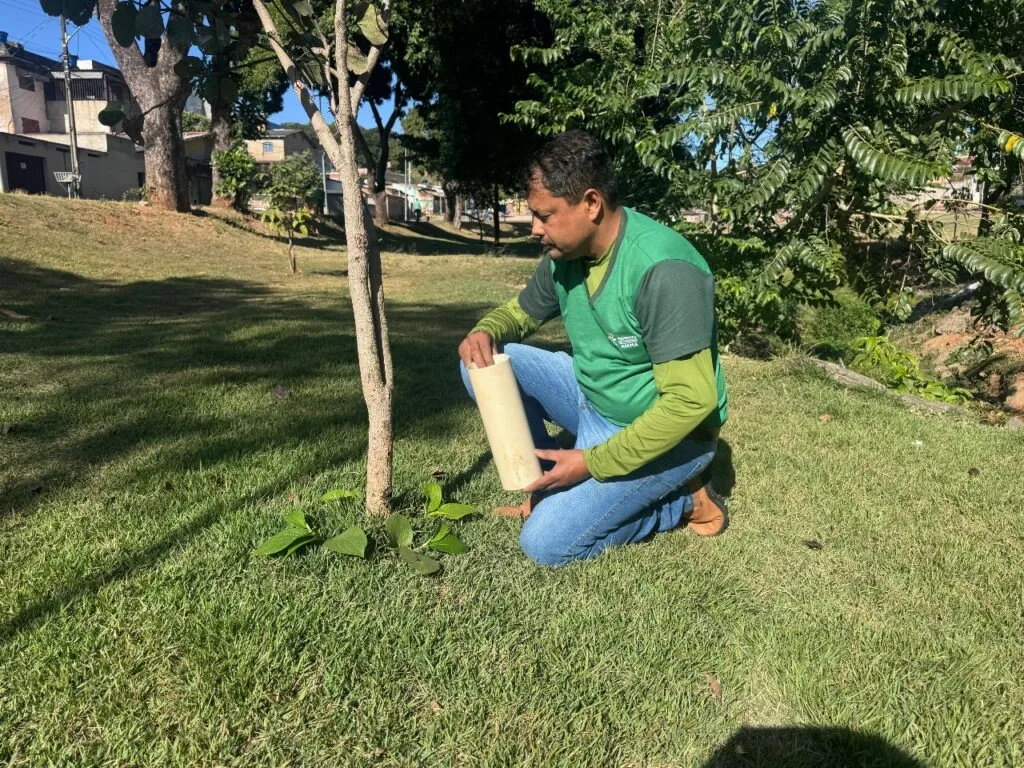 Prefeitura promove 3º Prêmio Goiânia Sustentável para valorizar projetos socioambientais