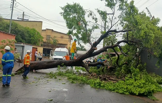 Goiânia em Alerta: Gabinete de Emergências Climáticas Estrutura Ações Preventivas Contra Fortes Chuvas