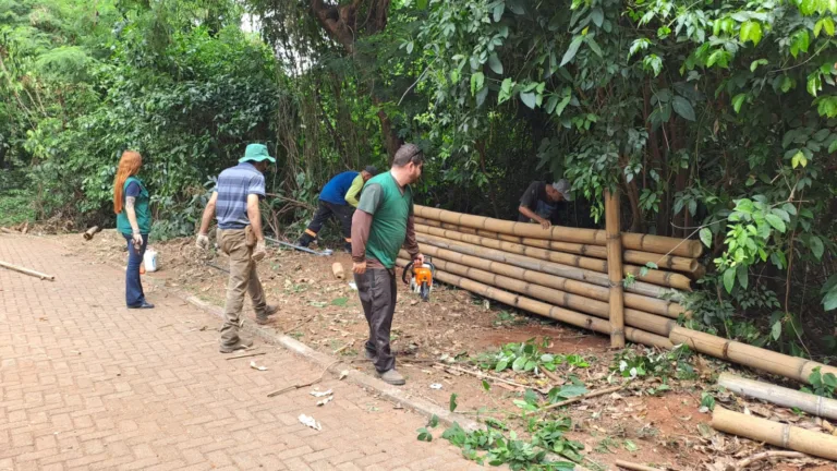 Goiânia instala paliçadas no Parque Areião para conter erosão e proteger nascente