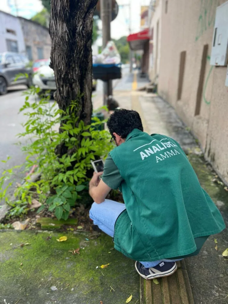 Prefeitura de Goiânia orienta sobre como solicitar vistoria arbórea para poda ou retirada de árvores em áreas públicas