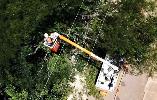 Goiânia revê critérios para podas de árvores pela Equatorial após cortes drásticos
