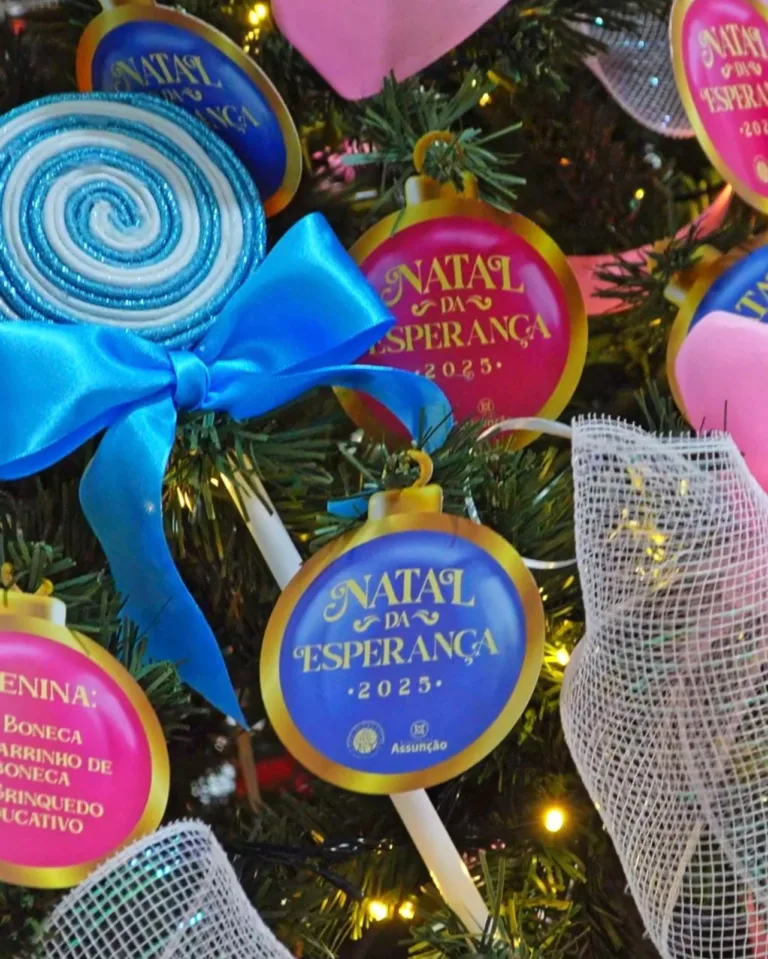 Imagem do WhatsApp de 2025-11-25 à(s) 11.27.05_1ef52677