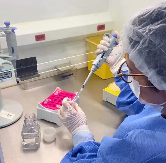 Lacen realiza sequenciamento genômico inédito de vírus da Febre Amarela