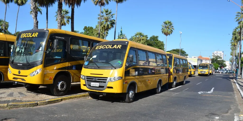 Nova legislação garante repasses para alimentação e transporte escolar
