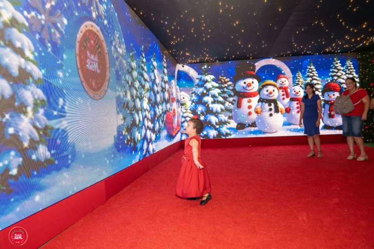 Tunel Led Papai Noel_Diego Canedo