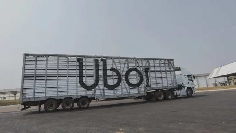 Uboi, da JBS, transporta 5 milhões de cabeças de gado e revoluciona logística no Brasil