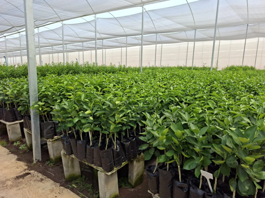 Estabelecimentos comerciais agropecuários devem se recadastrar no SIE