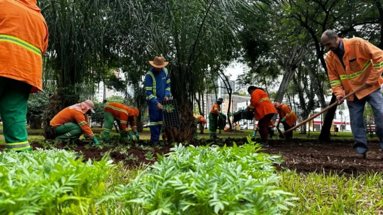 Praça Tamandaré passa por requalificação para receber programação natalina