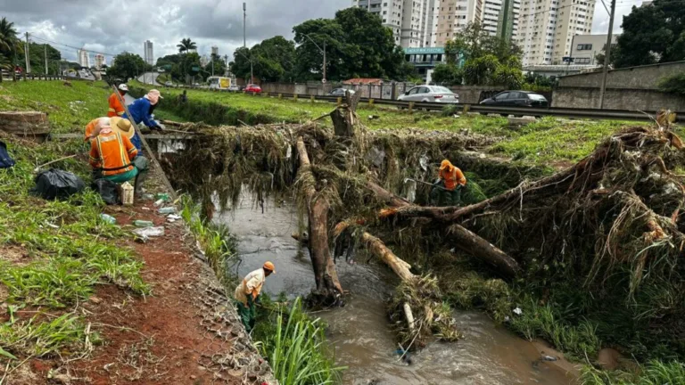 Prefeitura retira 60 toneladas de resíduos e desobstrui córregos após fortes chuvas em Goiânia