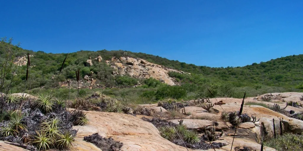 Geoparque Seridó é tema do Caminhos da Reportagem desta segunda