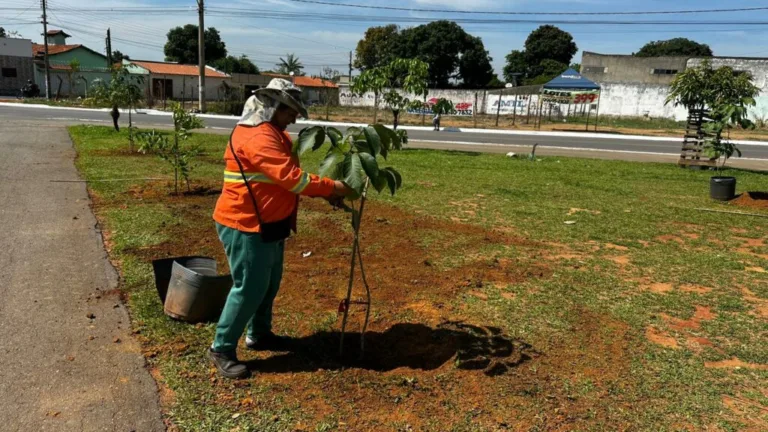 Comurg projeta o plantio de 6 mil novas árvores até abril de 2026