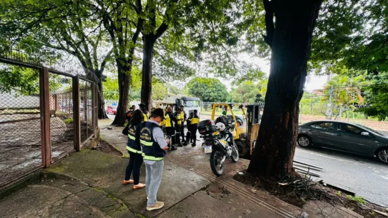 SET retém empilhadeiras irregulares que circulavam entre veículos no Setor Sul