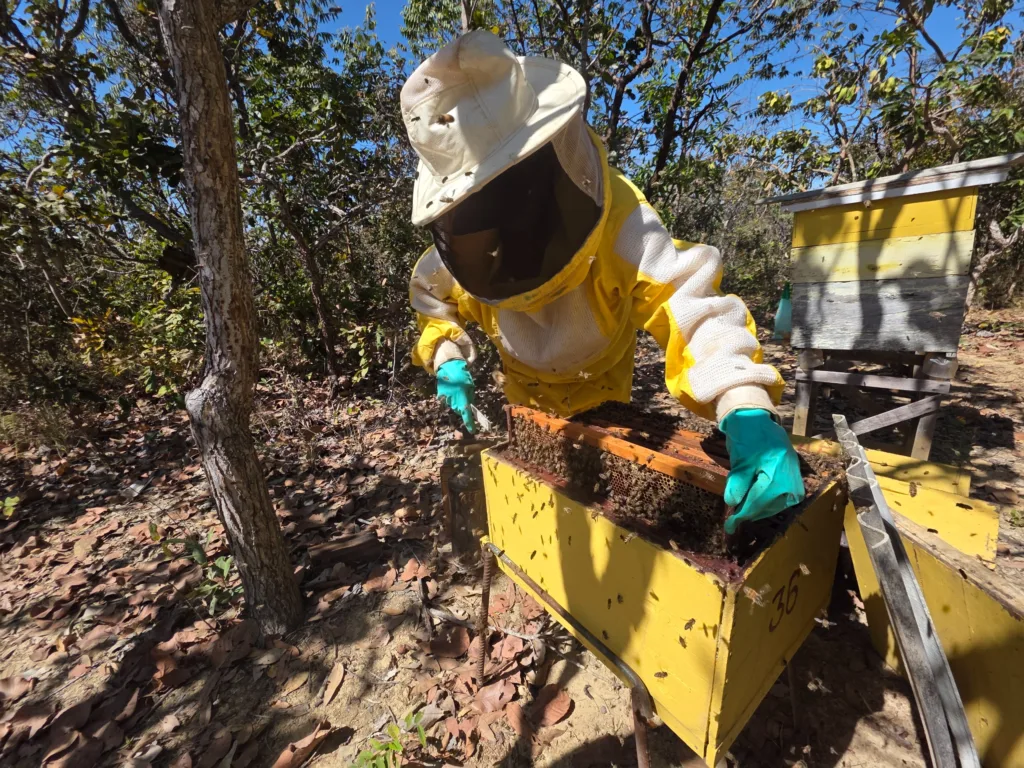 Goiás Seleciona 60 Agroindústrias para Projeto de Qualidade com Selo "Alimento Confiável"