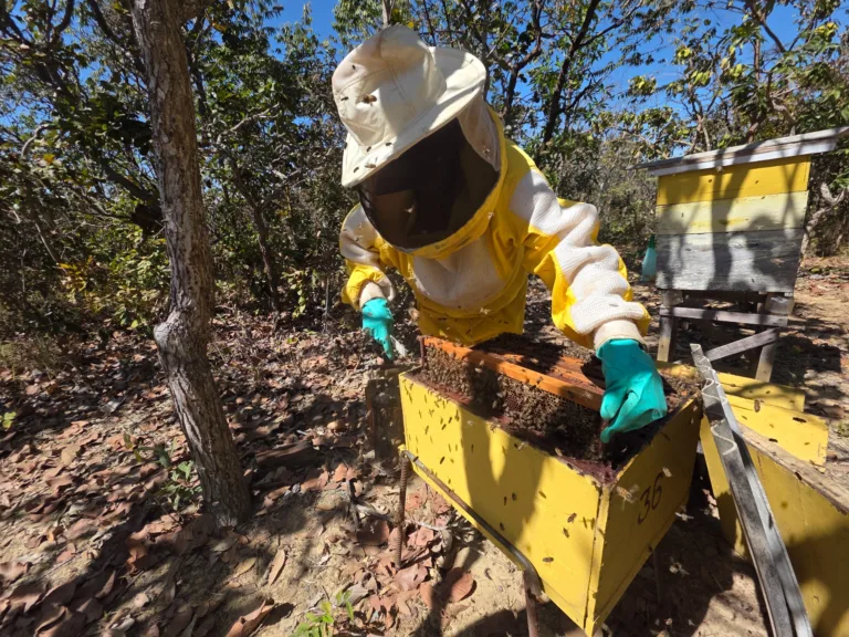 Goiás Seleciona 60 Agroindústrias para Projeto de Qualidade com Selo "Alimento Confiável"