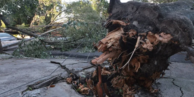 MIDR reconhece situação de emergência em 21 municípios 
