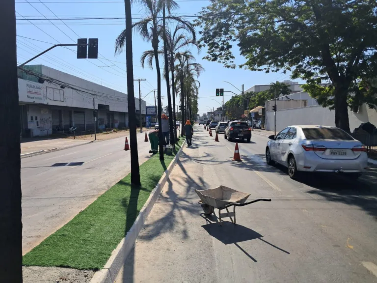 MPGO Recomenda Fim do Uso de Grama Sintética em Goiânia e Exige Recuperação Ambiental