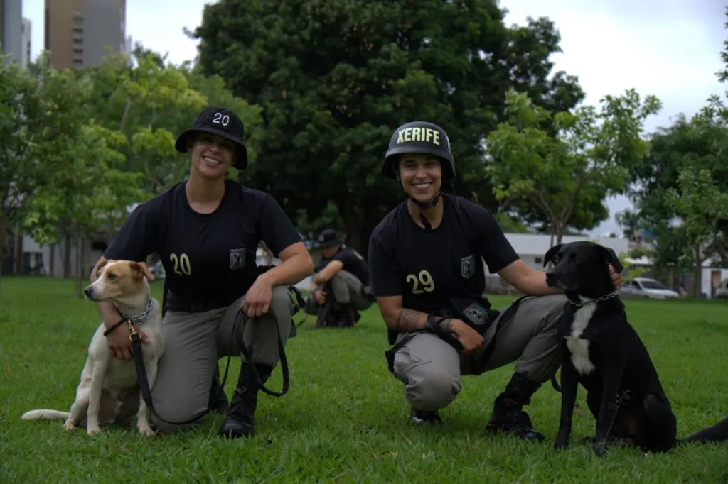 Cães adestrados pelo BPCães vão para adoção