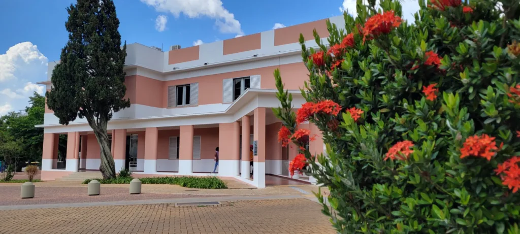 Secult Goiás publica chamamento de últimos suplentes da Política Nacional Aldir Blanc 2024 e 2025