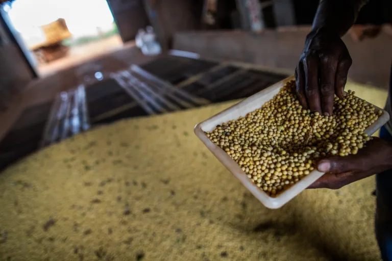 Superávit de US$ 7,3 bilhões impulsiona balança comercial de Goiás em 2025