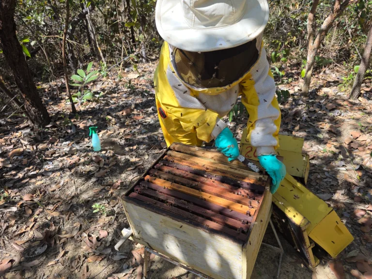Último dia para cadastro em projeto de melhoria de agroindústrias do Governo de Goiás