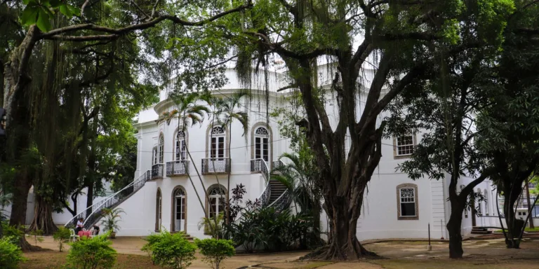 Museus da Funarj aderem a rede antirracista do Instituto Pretos Novos
