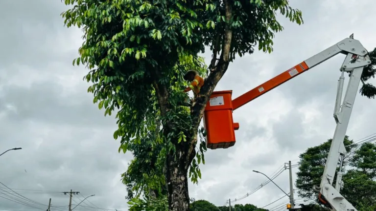 Comurg poda mais de 200 árvores nesta quarta-feira em Goiânia