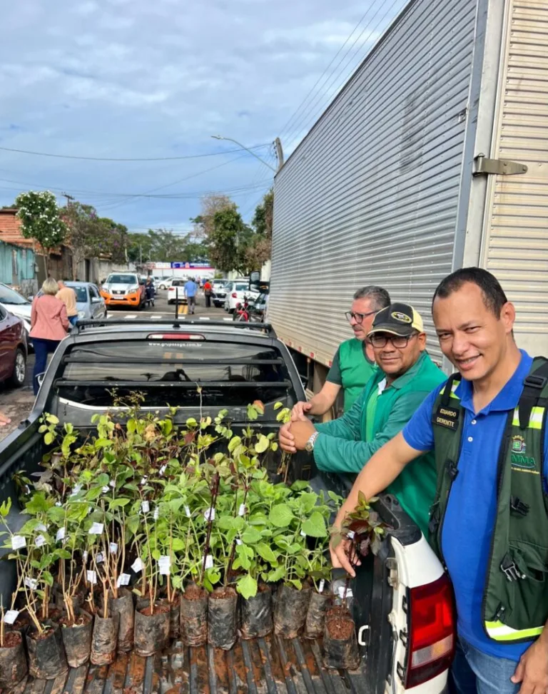 Prefeitura de Goiânia amplia ações de arborização com projetos de educação ambiental