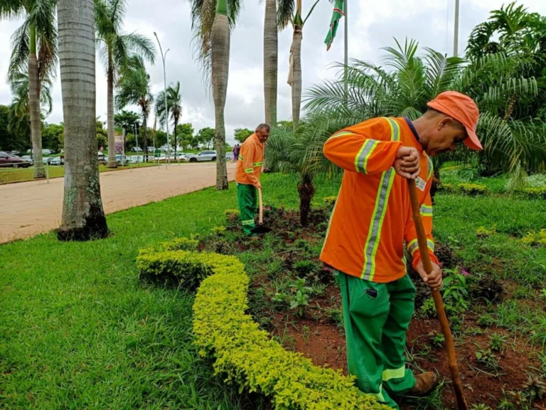 Prefeitura treina coordenadores para reforçar controle de pragas em espaços públicos de Goiânia