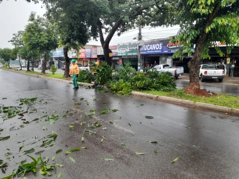 Prefeitura realiza limpeza e manutenção emergencial após forte chuva desta terça-feira (20/1)