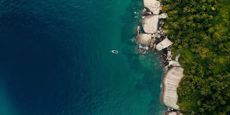 TV Brasil exibe documentário com iniciativas de preservação da costa