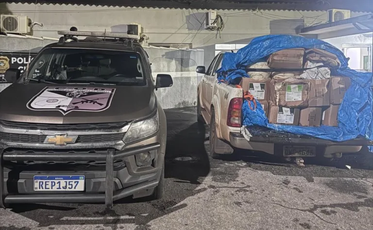 Operação apreende 800 kg de agrotóxicos contrabandeados