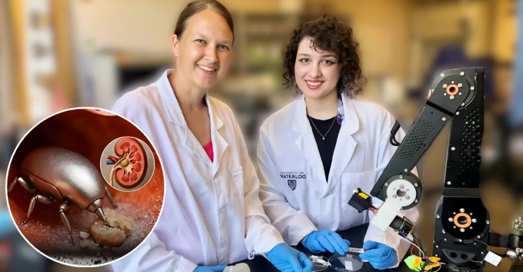 Robô Microscópico Guiado por Ímãs Dissolve Cálculos Renais com Precisão