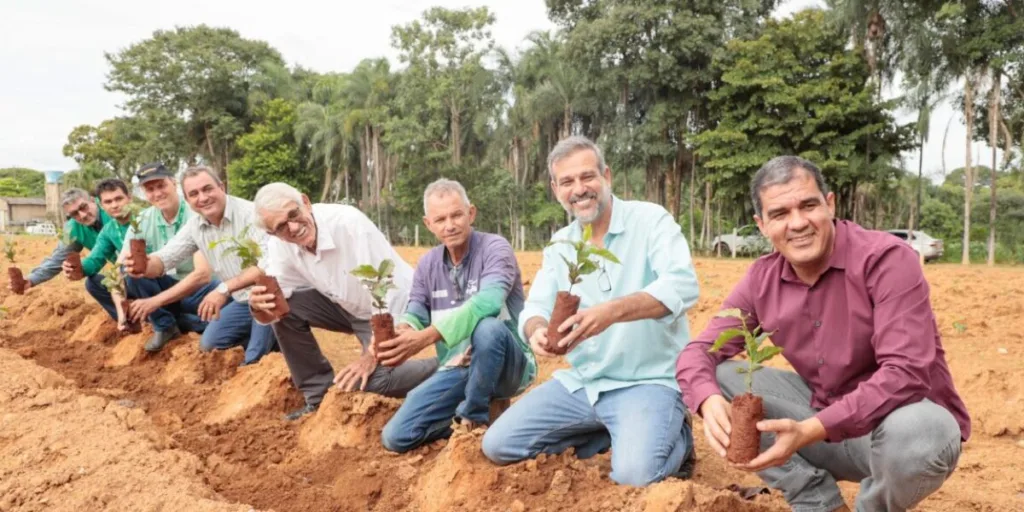 Emater aposta no café e fortalece cultivo em Goianésia