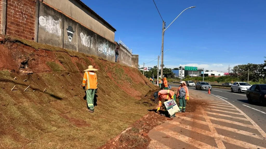 Comurg inicia recomposição de 4 mil m² de gramado na Marginal Botafogo