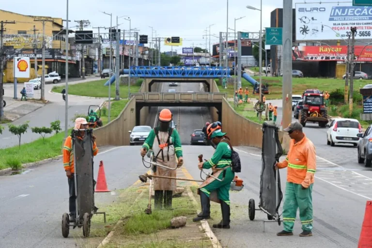 Mabel vistoria trabalhos da força-tarefa de roçagem na Avenida Pedro Ludovico