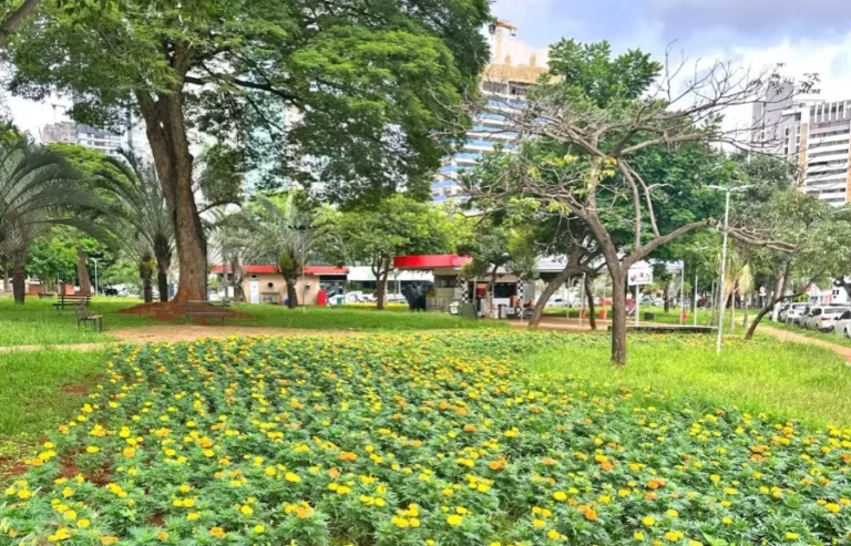 Comurg revitaliza praças e canteiros da capital com o plantio de mais de 80 mil mudas ornamentais