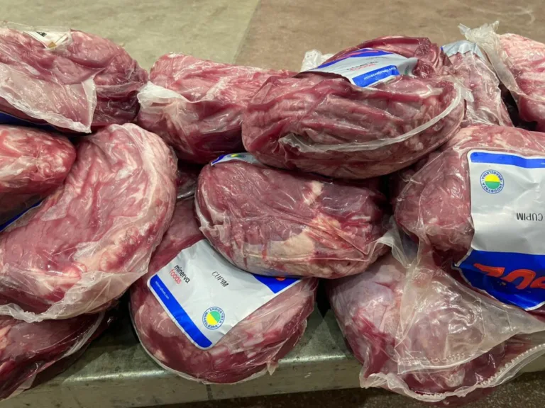 Procon Goiânia apreende 50 quilos de carnes vencidas em fiscalização de câmaras frias