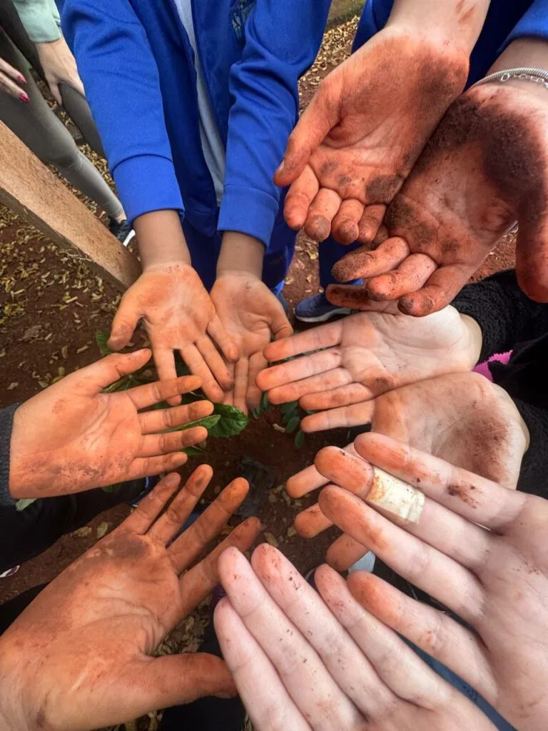 Projeto “Plantando árvores, colhendo vidas” inicia atividades em 2026