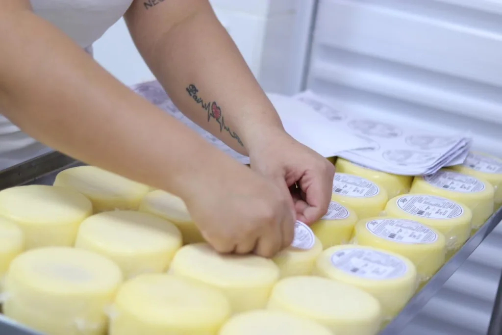 Inscrições para projeto de melhoria de agroindústrias terminam neste sábado - produção de queijos