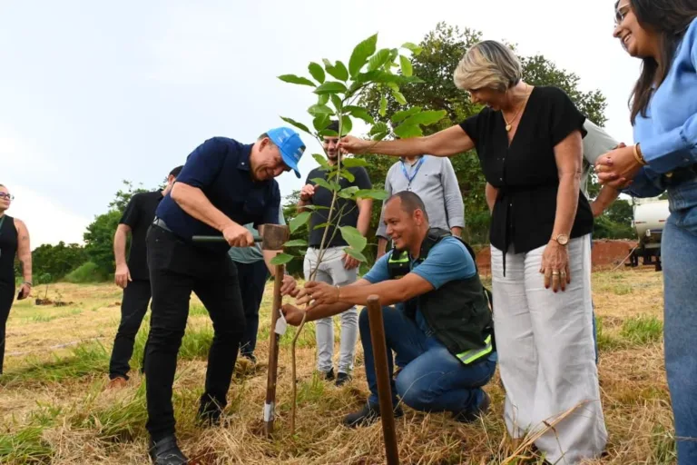 Goiânia Planta Mais de 4 Mil Mudas do Cerrado para Compensar Emissões do MotoGP
