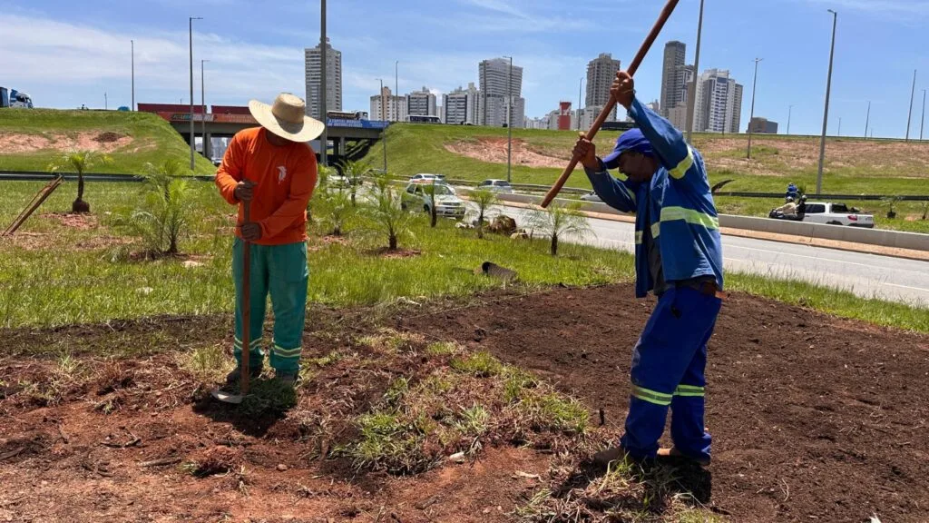 Prefeitura inicia requalificação paisagística no cruzamento da BR-153, GO-020 e Avenida Jamel Cecílio