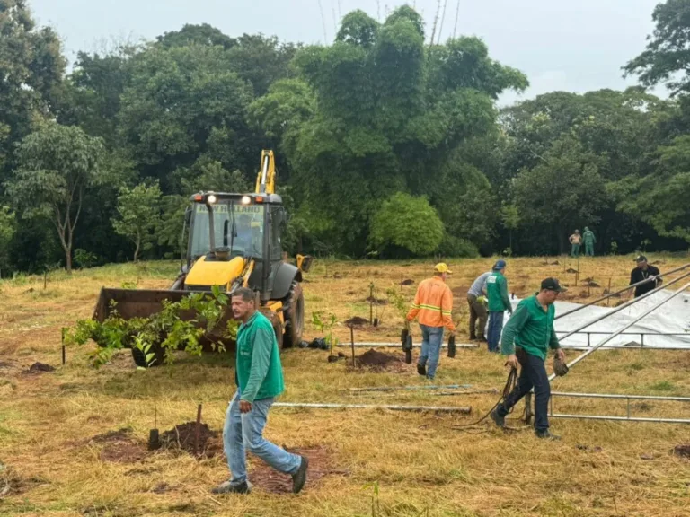 Goiânia ganha mil novas árvores nativas em plantio realizado pela Amma