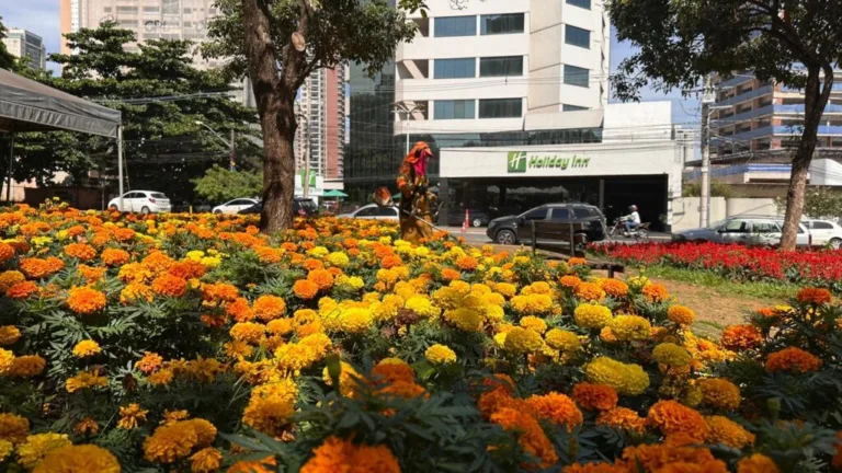 MotoGP Goiânia: Comurg intensifica ações de zeladoria para o evento internacional