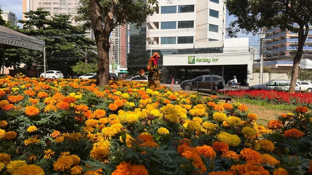 MotoGP Goiânia: Comurg intensifica ações de zeladoria para o evento internacional