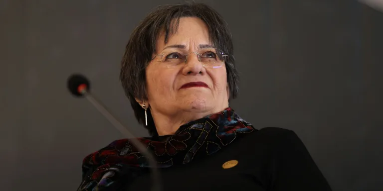 Ataques a Maria da Penha tentam enfraquecer conquistas, diz Instituto