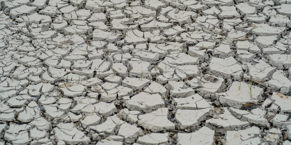 Estiagem: quinze cidades têm situação de emergência decretada