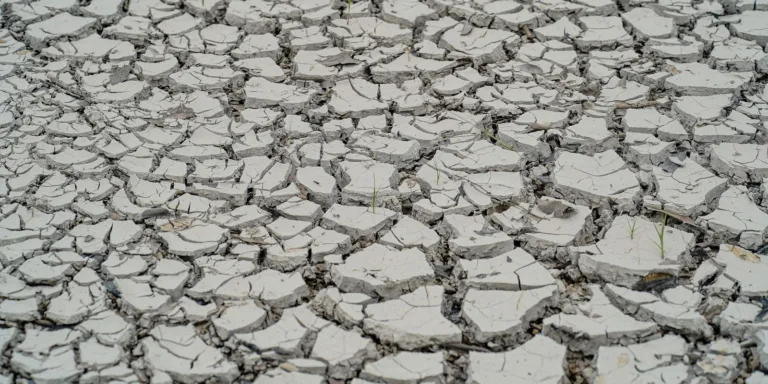 Estiagem: quinze cidades têm situação de emergência decretada